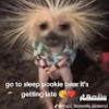 sabriye_a